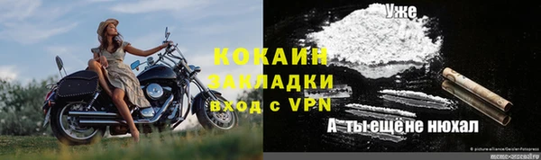 дурь Заводоуковск