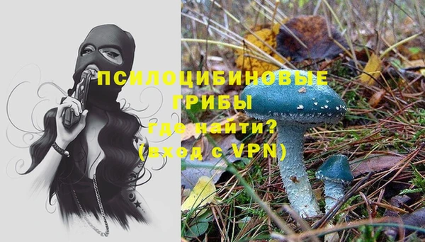 дурь Заводоуковск
